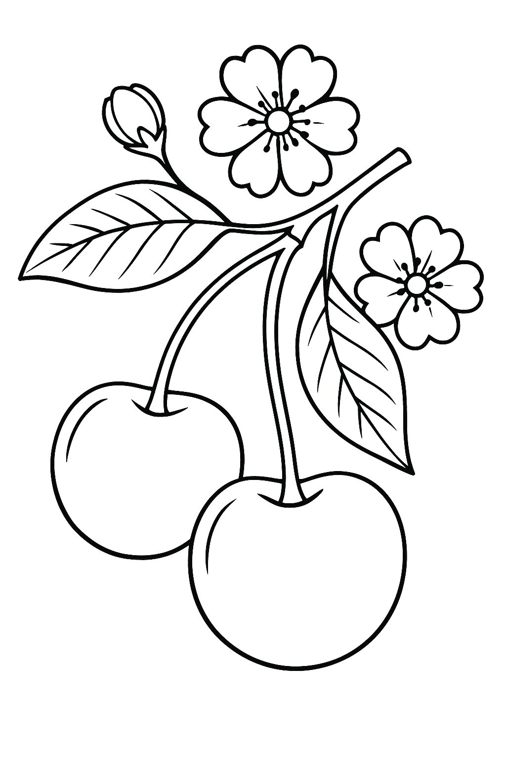 Cherries with Flowers Coloring Page