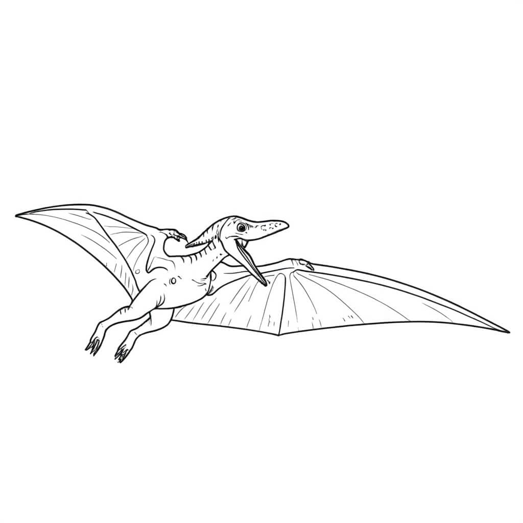 Pterodactyl Coloring Page
