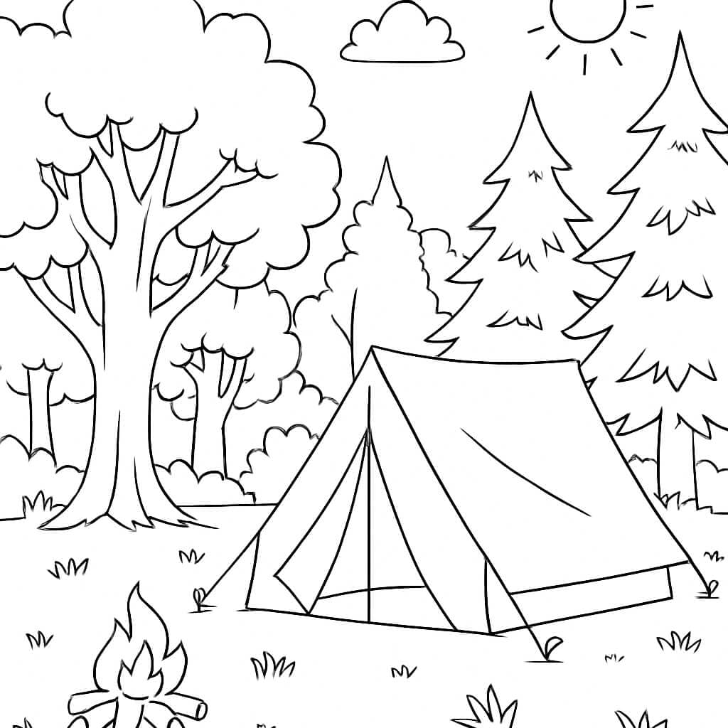 Forest Campfire