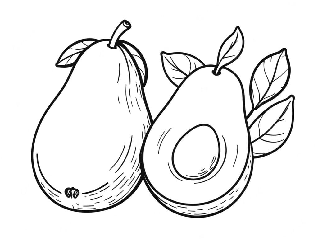 Avocado Coloring Page