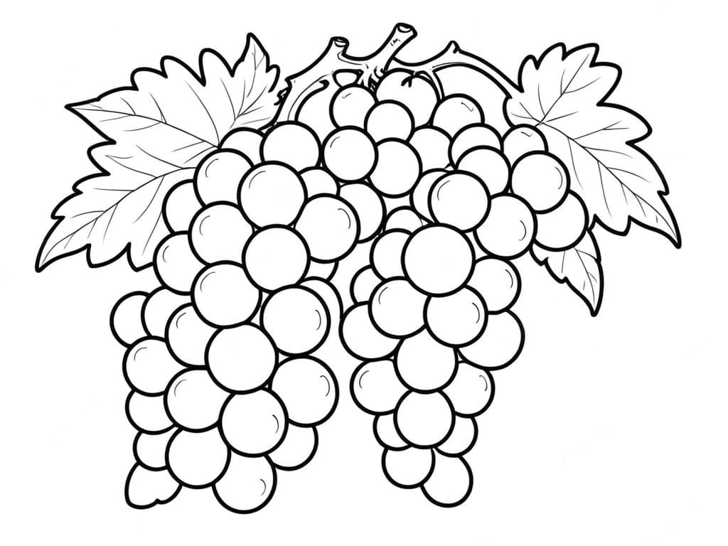 Grapes Coloring Page