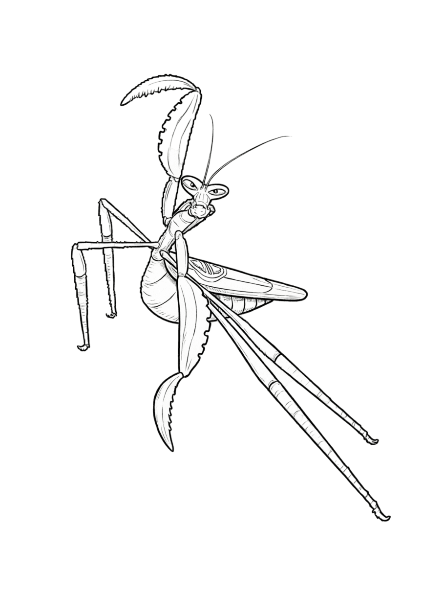 Mantis Kung Fu Panda coloring pages