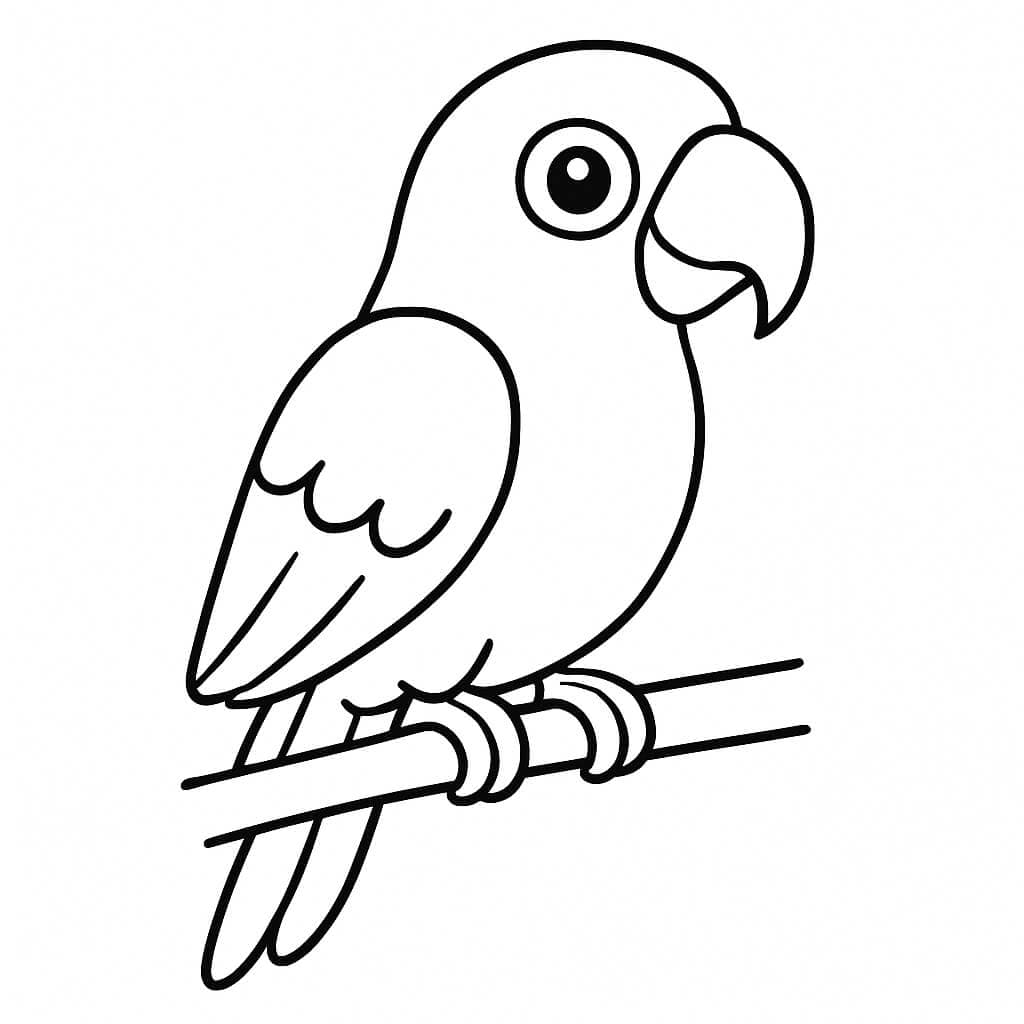 Parrot coloring page