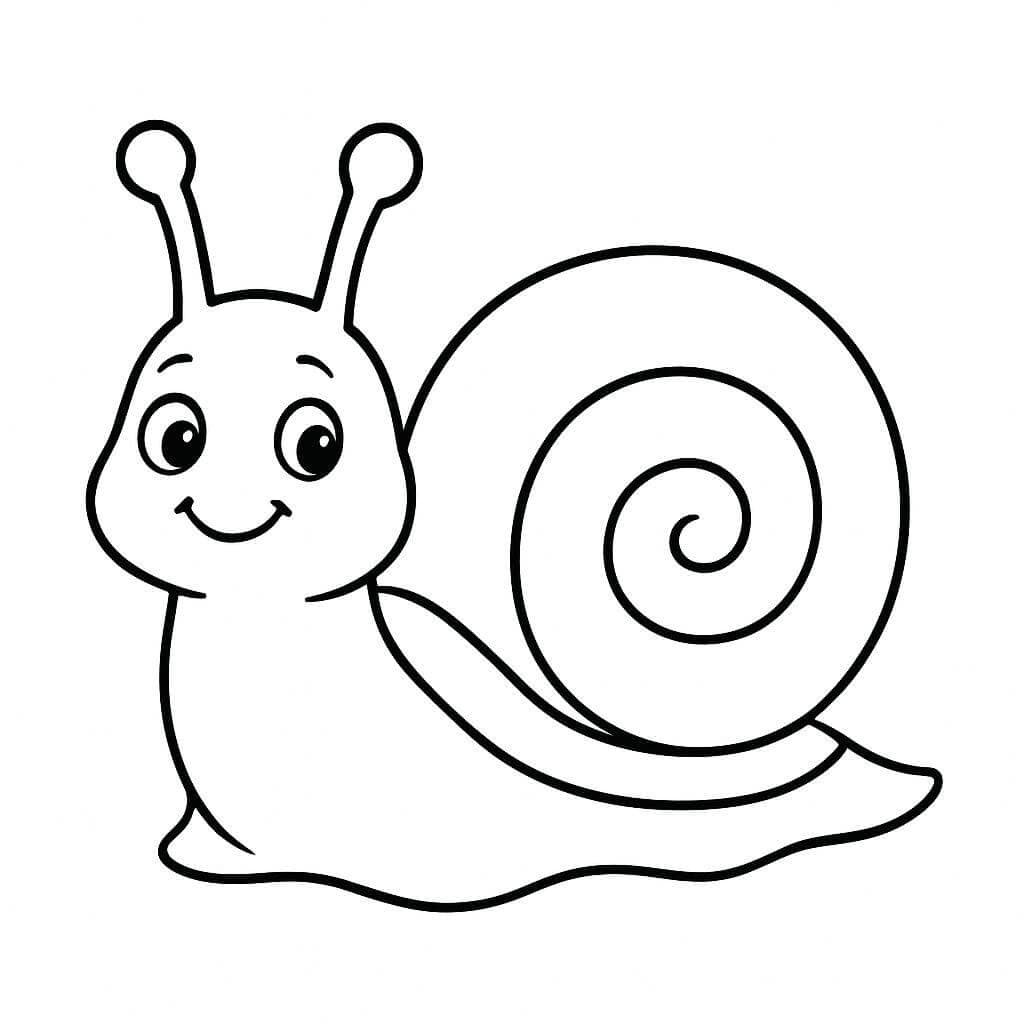 Snail coloring page